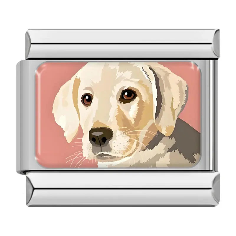 Labrador Charmsy