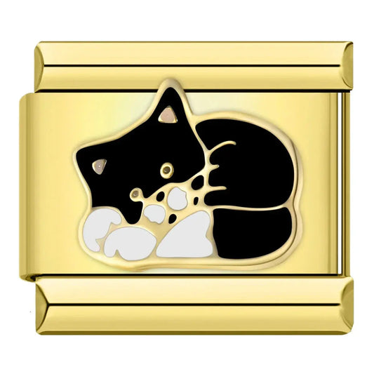 Chat Noir Charmsy