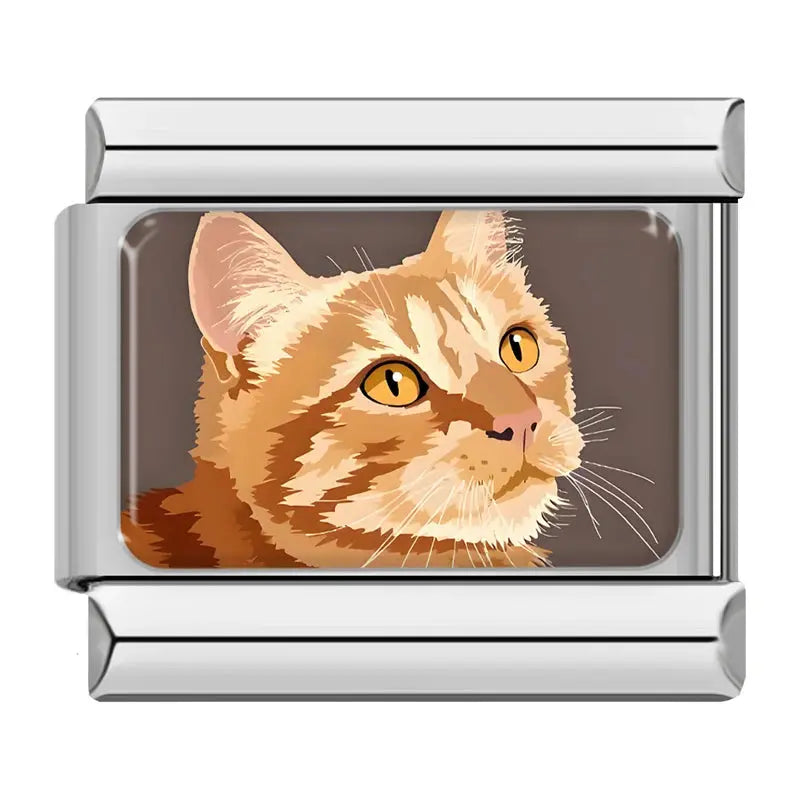 Chat Roux Charmsy
